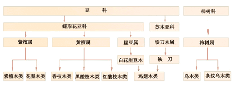 紅木國(guó)標(biāo)五屬八類(lèi)33樹(shù)種示例圖,國(guó)家標(biāo)準(zhǔn)5屬8類(lèi)33種